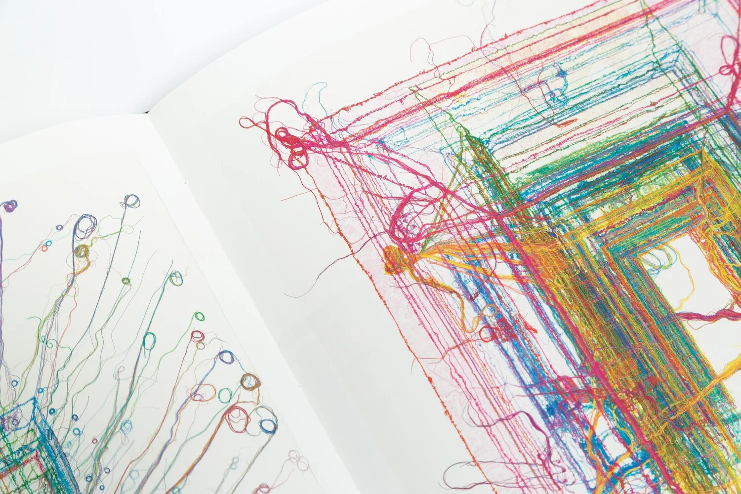 大型本　Do Ho Suh「WORKS ON PAPER AT STPI」韓国 Do Ho Suh: Works on Paper at STPI: Ho Suh, Do, Pesenti